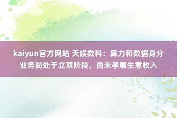 kaiyun官方网站 天娱数科：算力和数据身分业务尚处于立项阶段，尚未孝顺生意收入