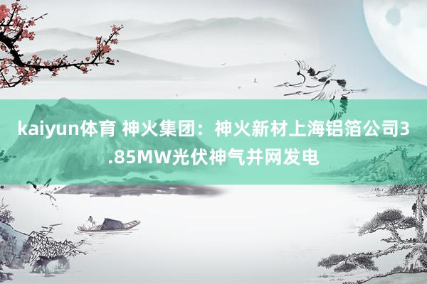 kaiyun体育 神火集团：神火新材上海铝箔公司3.85MW光伏神气并网发电