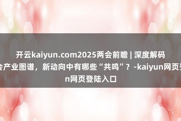 开云kaiyun.com2025两会前瞻 | 深度解码地方两会产业图谱，新动向中有哪些“共鸣”？-kaiyun网页登陆入口